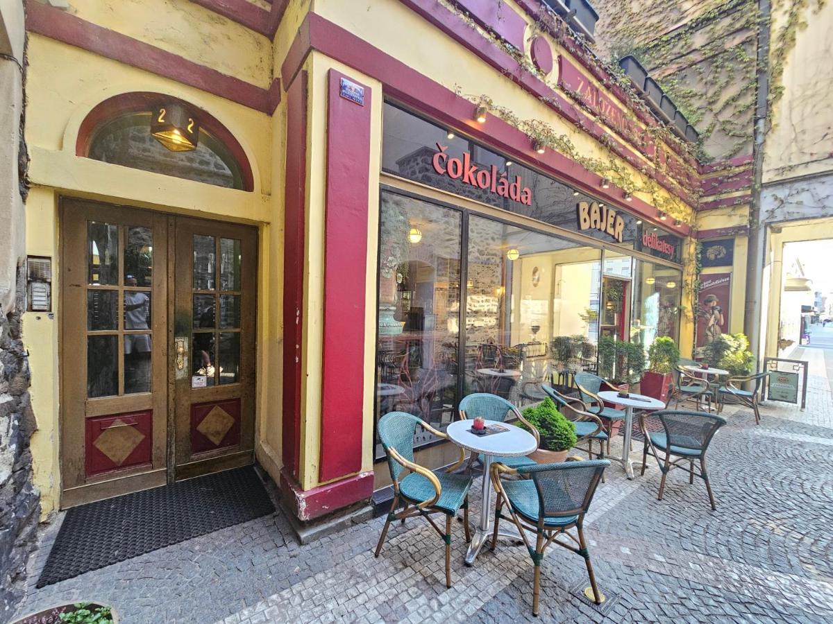 Spacious apartment near Zelená brána with a terrace - B&B Pardubice