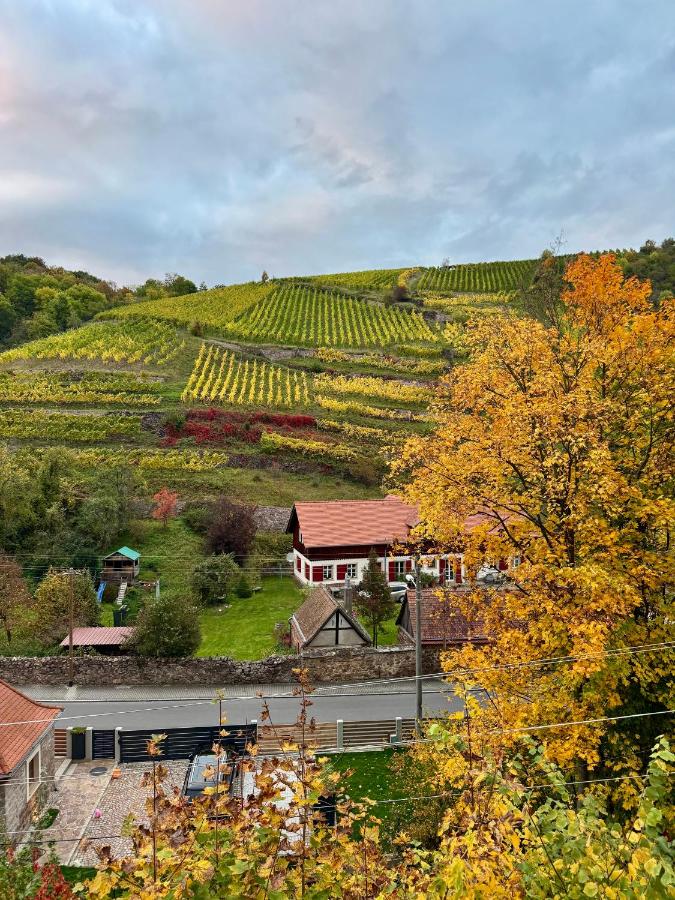Ferienwohnung mit Weinbergblick - Ferienwohnung Dresden
