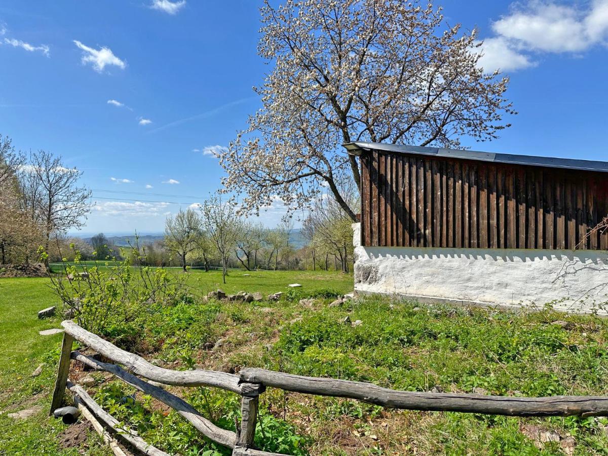 Ziggiho chalupa - B&B Pliešovce