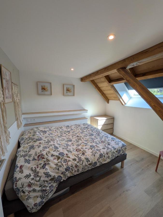 La charmante remise d'Alsace - Appartement Le Chalet - B&B Hessenheim
