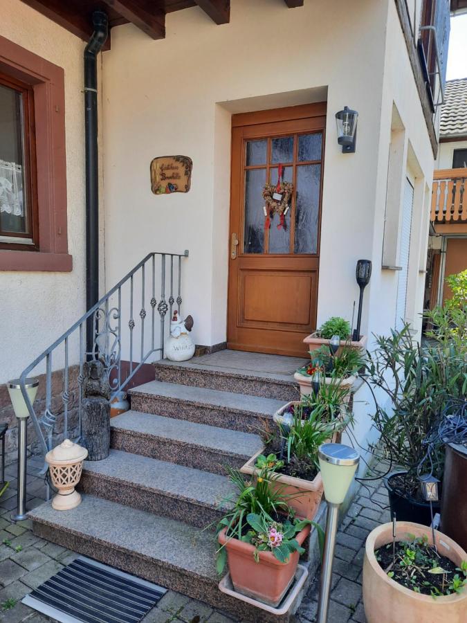 Apartment Meyerhof - B&B Schwanau
