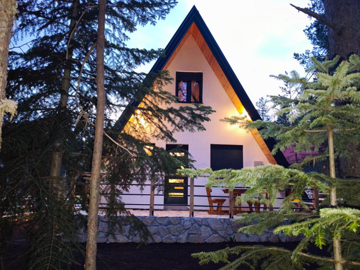 Pine Forest Chalet - Bed and Breakfast Žabljak