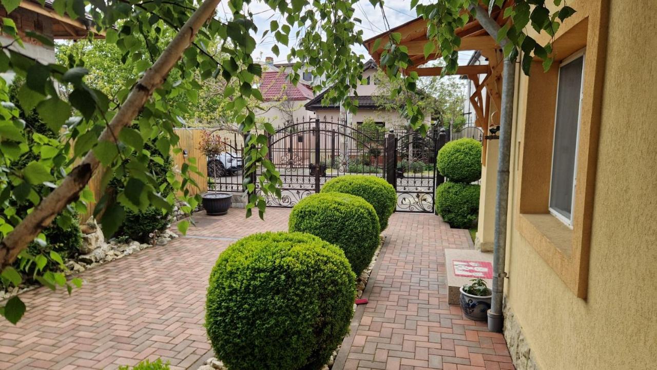 Casa Teo - B&B Buzău