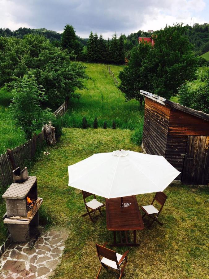 Vila close to Bran Castle - B&B Moeciu de Jos