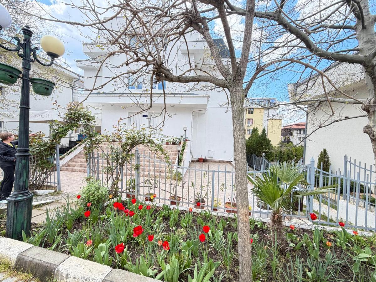 Daisy Guest House - B&B Sveti Vlas