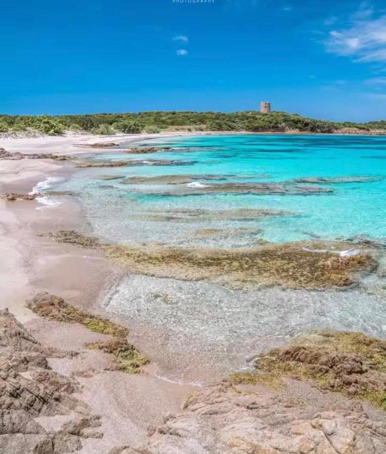 Sardegna selvaggia a due passi dal mare - B&B Vignola
