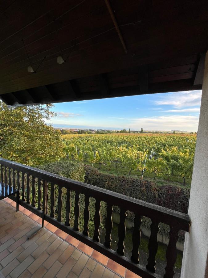 Panorama des Vignes -Alsace Expérience - B&B Barr