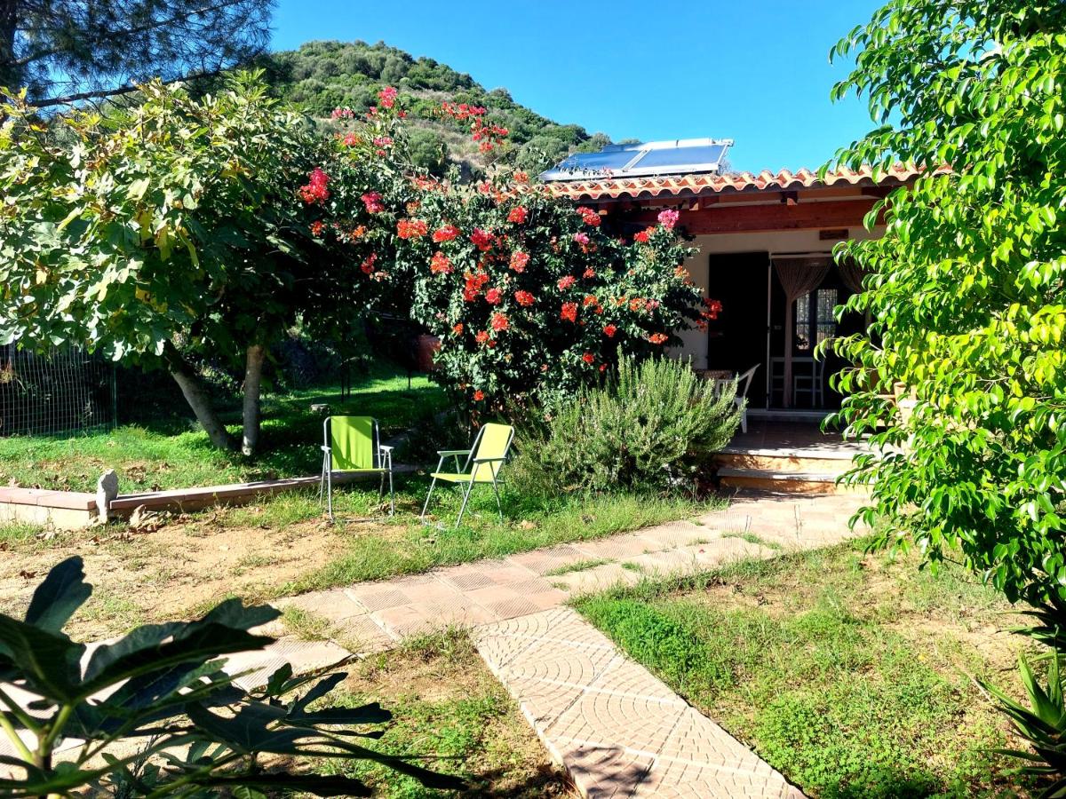 Case 800 mt dal mare - Casa Flora e Casa Aurora - B&B Tertenia