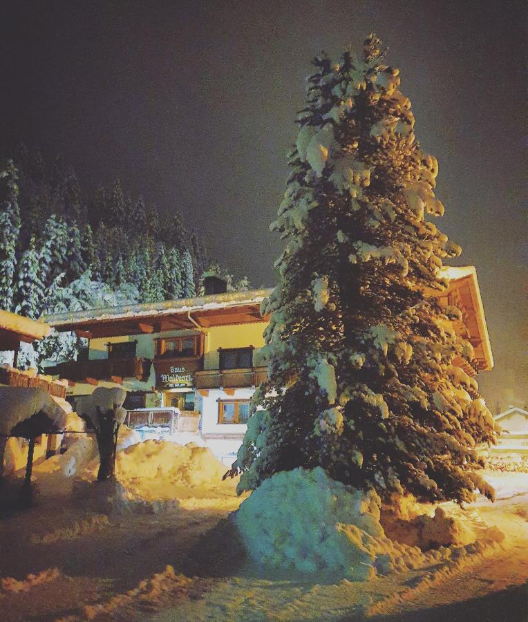 Haus Waldesruh - Bed and Breakfast Neustift im Stubaital
