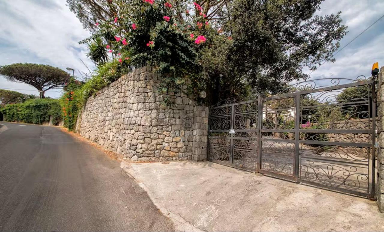 Ischia-Forio-Punta Caruso-La Grille du coq-villa 1 il prezzo della villa è riferito all'intero alloggio con il limite delle persone previste n 4 - Chambres d'hôtes Forio
