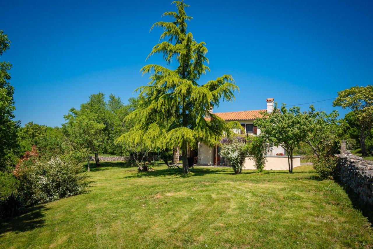 Marija-Lorena in Gora Glušići - Haus für 4 Personen - Chambres d'hôtes Labin