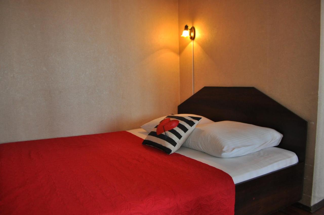 Spacious apartment with balcony - B&B Kremenchug