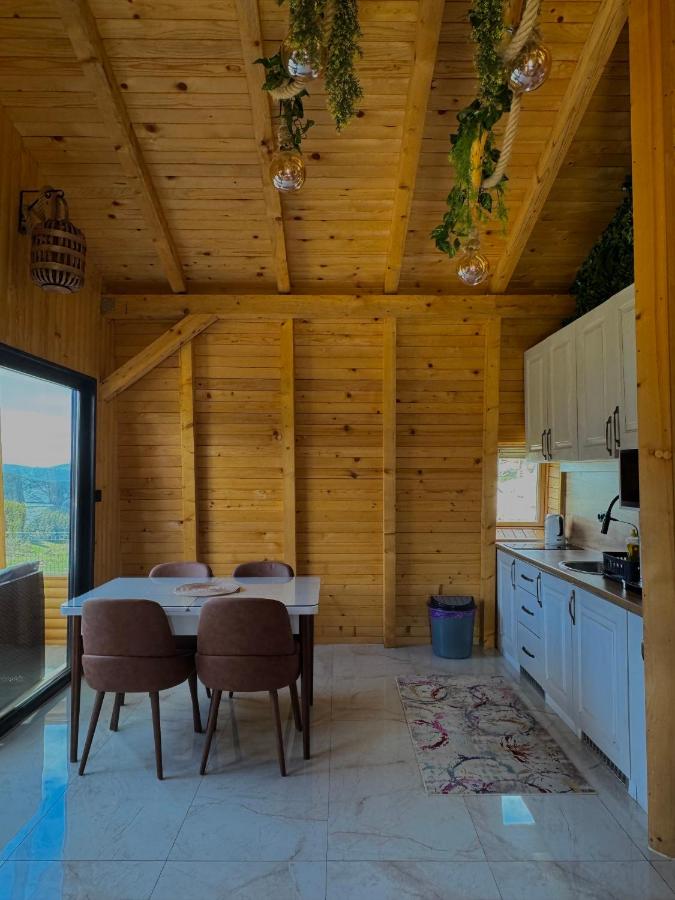 Vlasic Odmor - Villa Biser & spa - B&B Vilišća