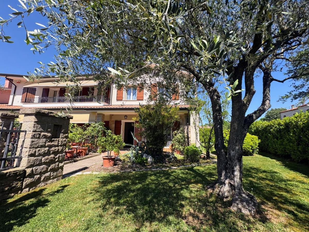 Alla Stella B&B - Ferienwohnung Veggiano