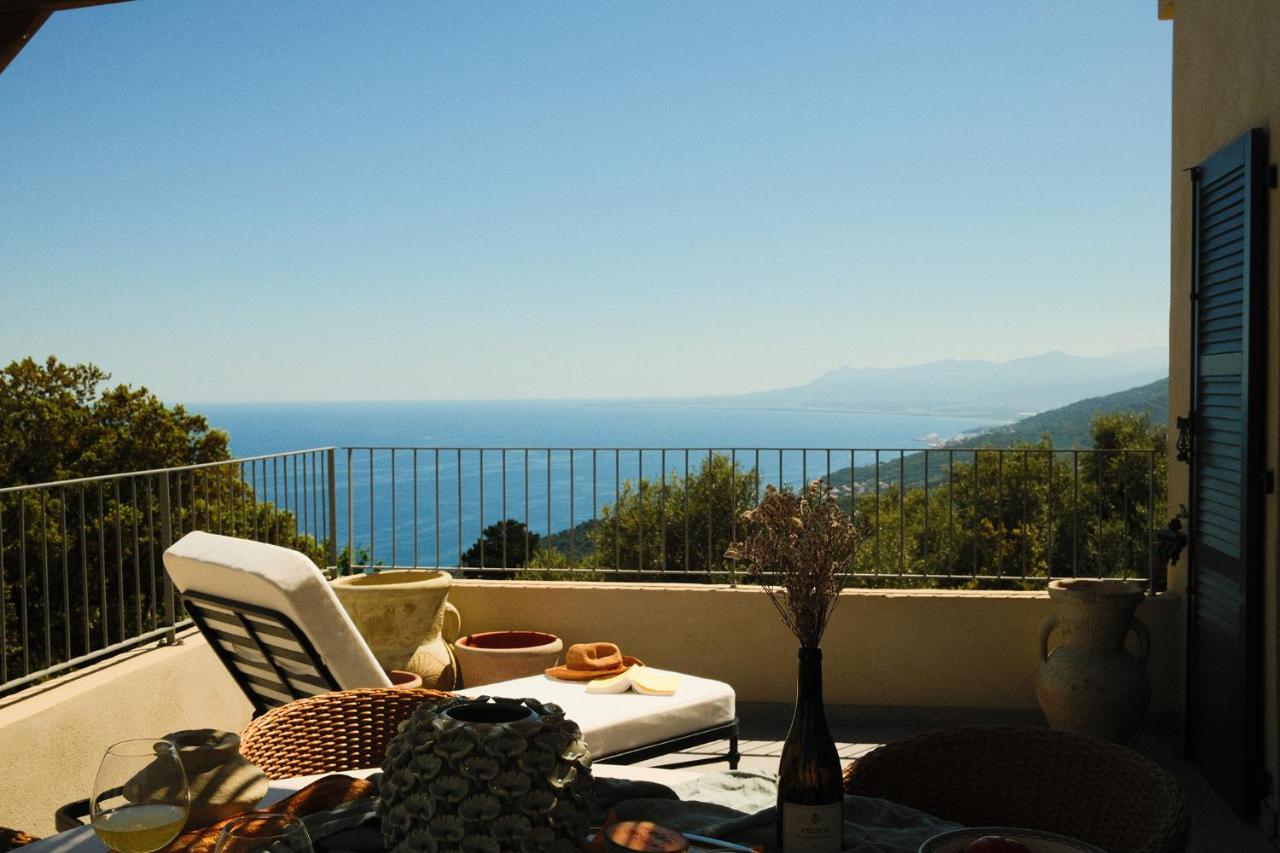 Maison Capucine - Vue mer, piscine & charme du Cap - B&B Brando