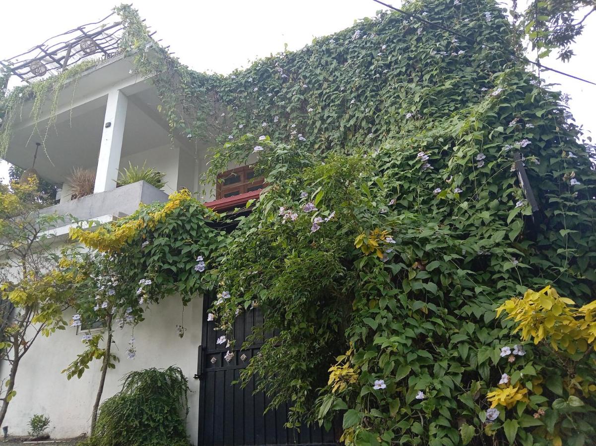 Villa D40 - B&B Weligama