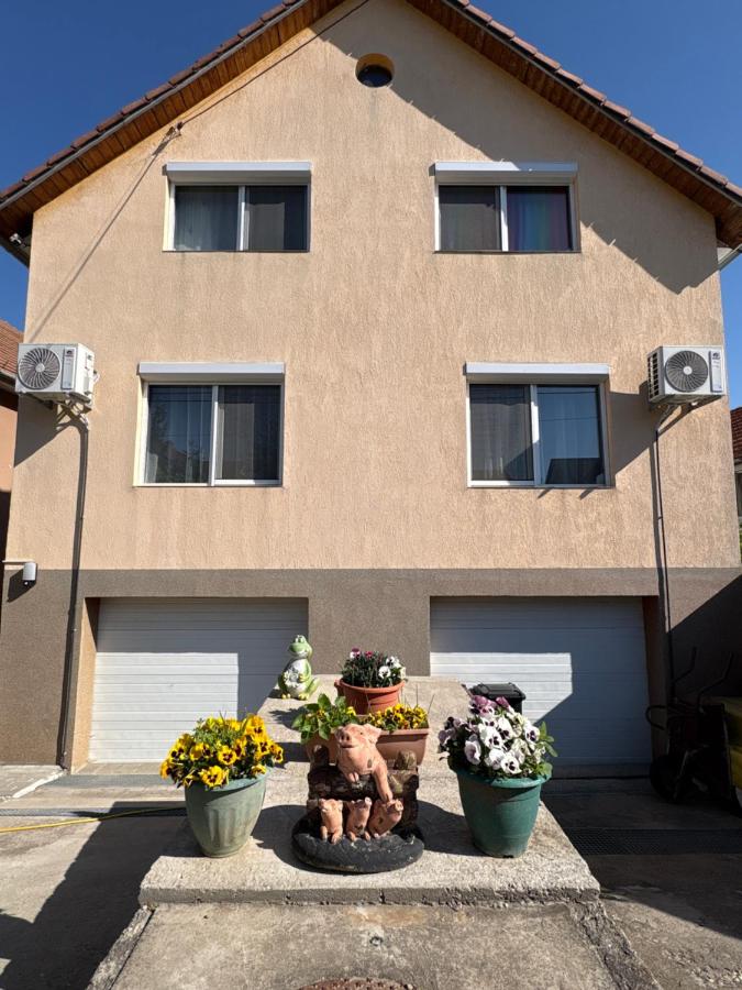 Casa Maya with private parking - B&B Oradea