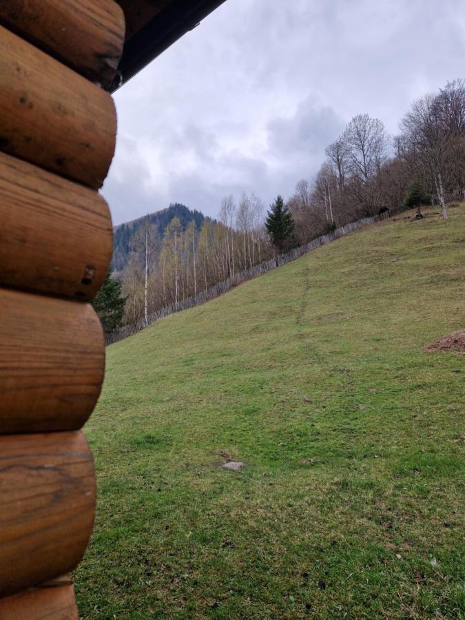 Deer Chalet - B&B Holda