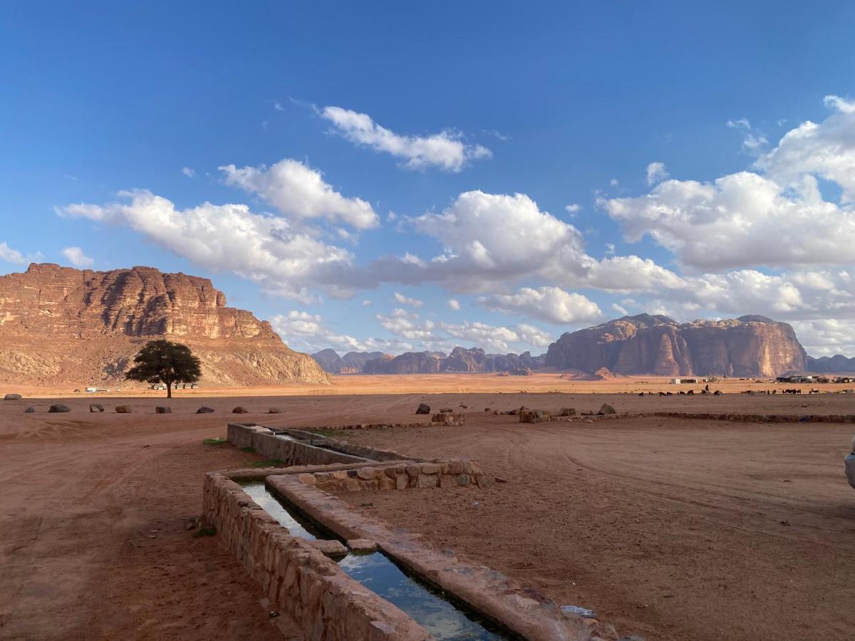 Wadi Rum Moon Camp - B&B Ramm