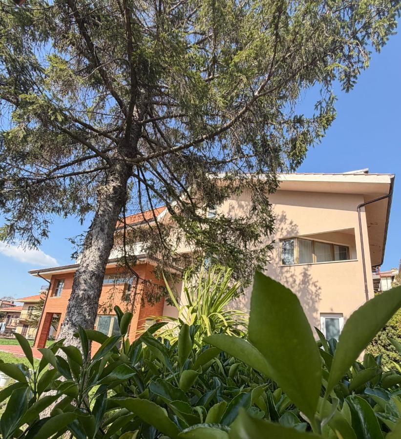 Firmamento Royal House - B&B Rocca Priora