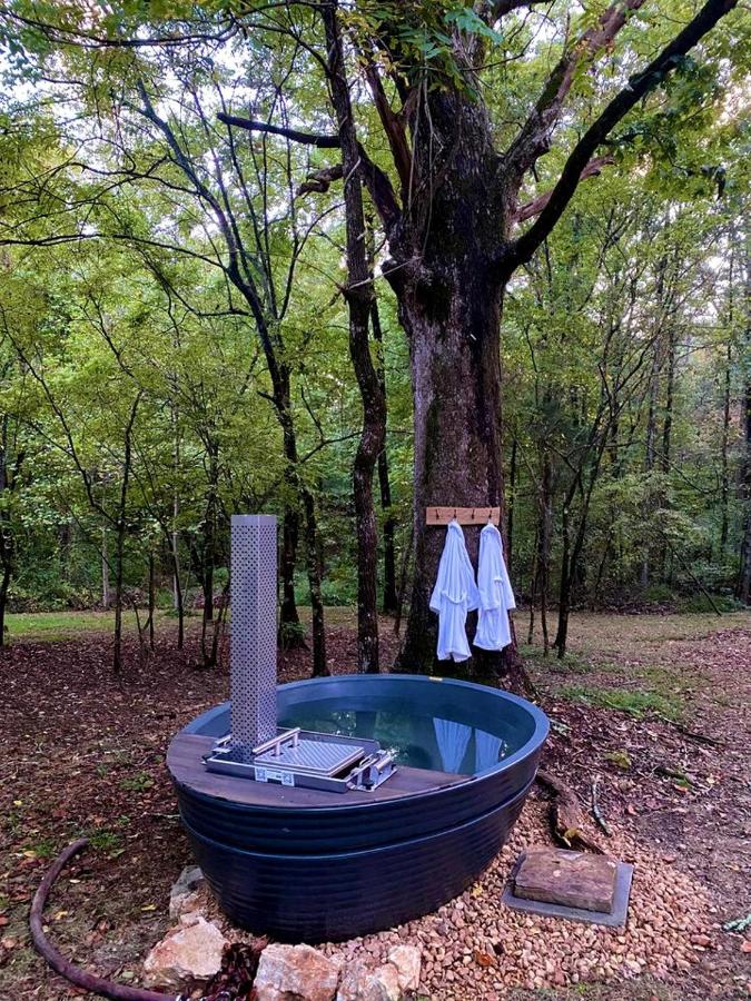 Glamping Tiny House Situated in the Tennesse Woods for a Tranquil Escape near Chattanooga - Bed and Breakfast Signal Mountain