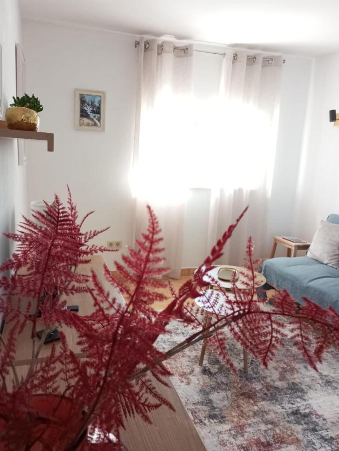 Joy4You - Chambres d'hôtes Čilipi