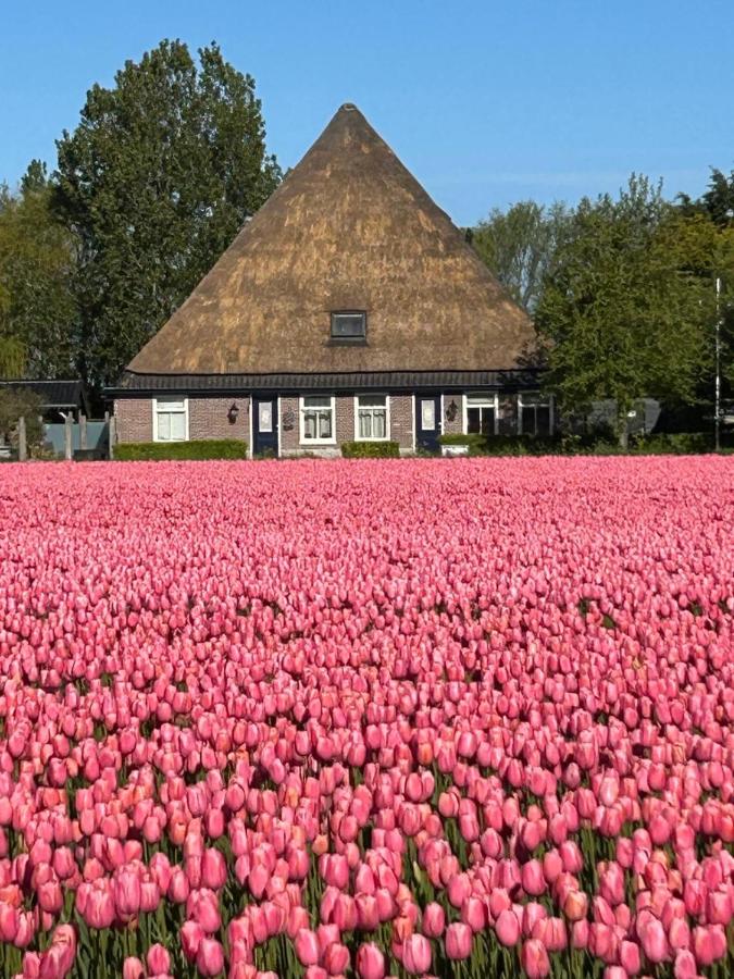 B&B Idylle aan Zee incl 2 Wellnessstudios