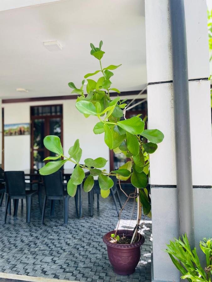 Cinnamon J Udawalawe - B&B Udawalawa