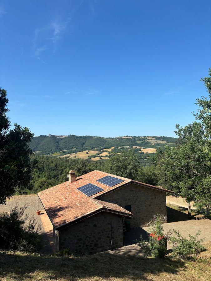 Villa WILD ALBA - Bed and Breakfast Sasso d'Ombrone