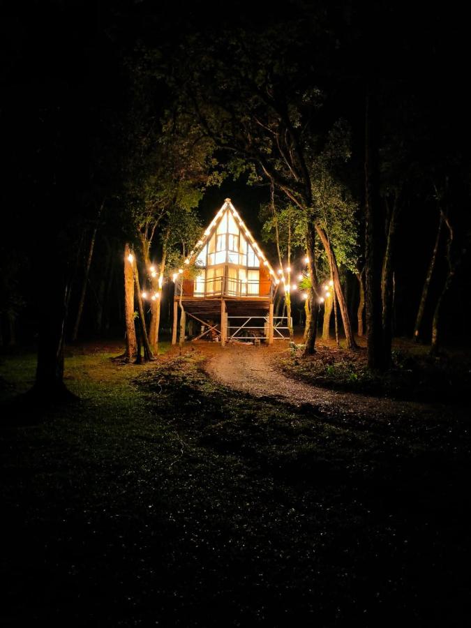 Chalé Valle Verde Campo Alegre, Santa Catarina - Ferienwohnung Campo Alegre