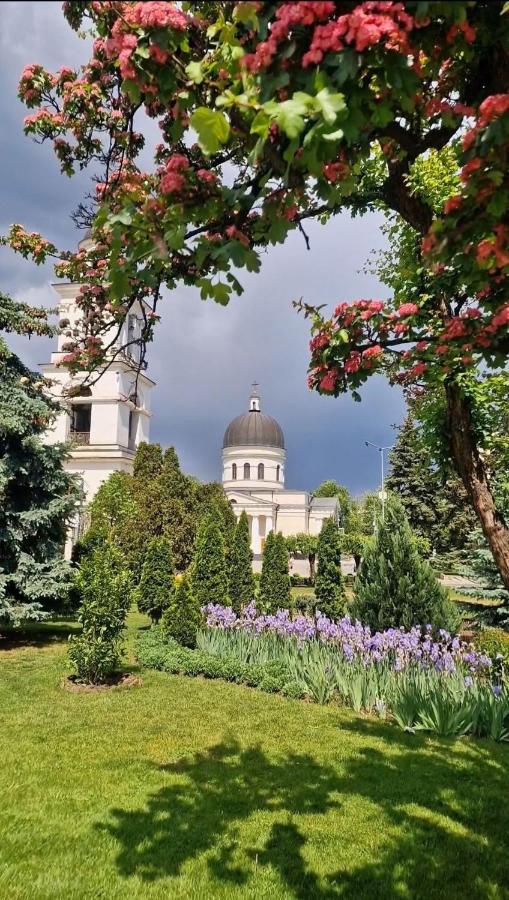 Cozy Central Park apartment - Bed and Breakfast Chisinau