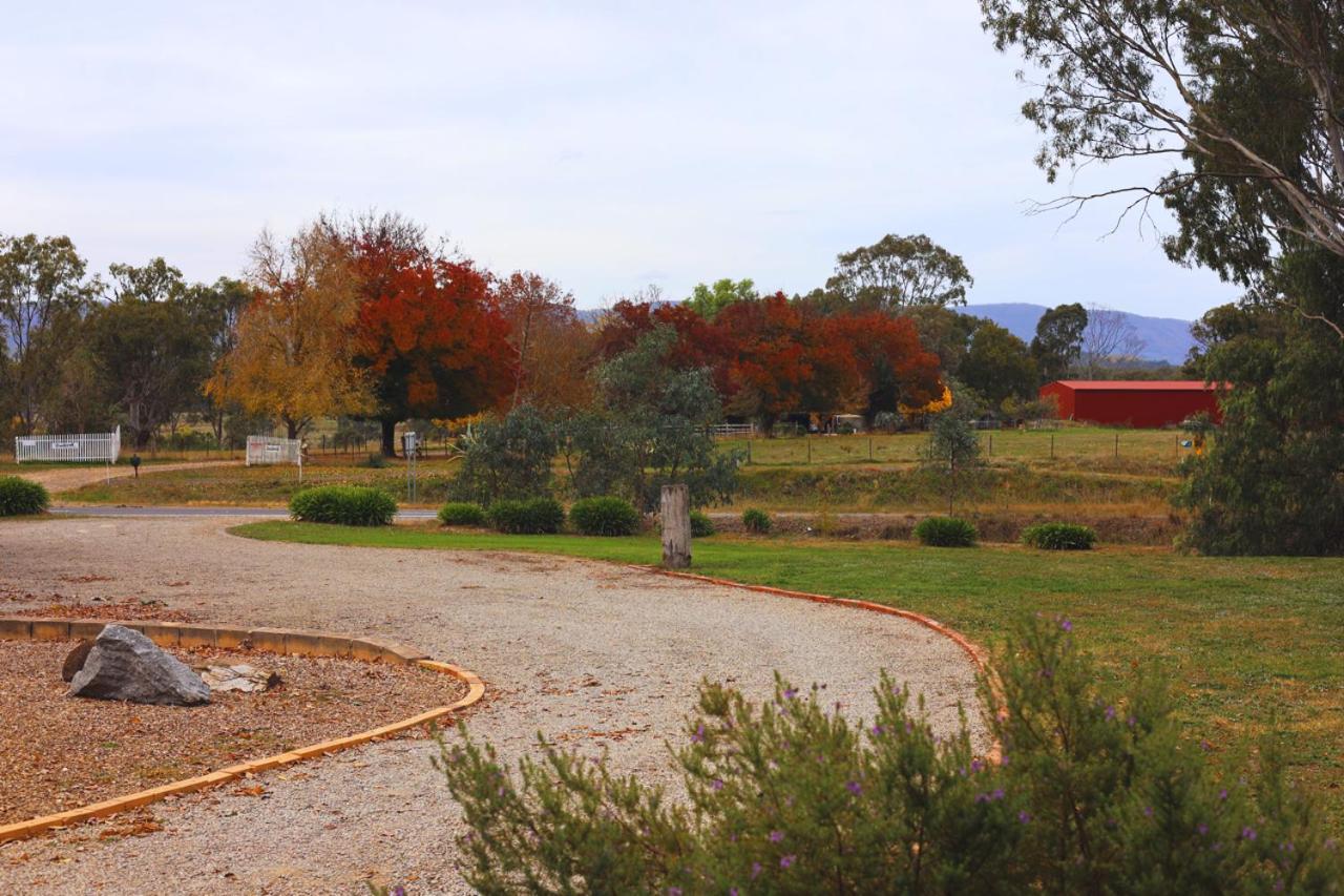 Wattleseed Cabin at Homewood Lodge - B&B Homewood