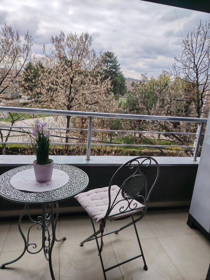 Queen Wiev Čair - B&B Niš