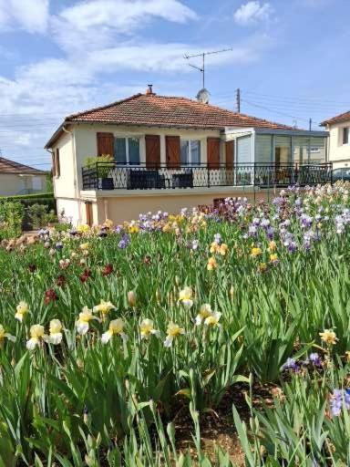 Le jardin aux iris - B&B Tonnerre