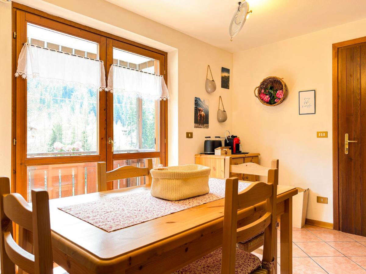 Soldanella - 4 persone - 2 rooms - Dolomiti - B&B Santo Stefano di Cadore