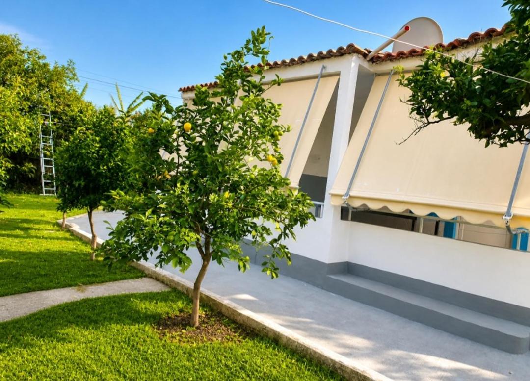 Sea View, Authentic Mediterranean Garden - B&B Borsh