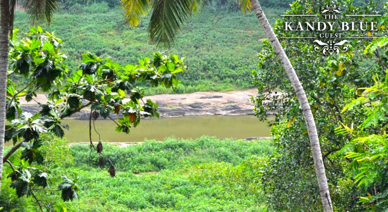 Chambre Double ou Lits Jumeaux Deluxe - Vue sur Rivière