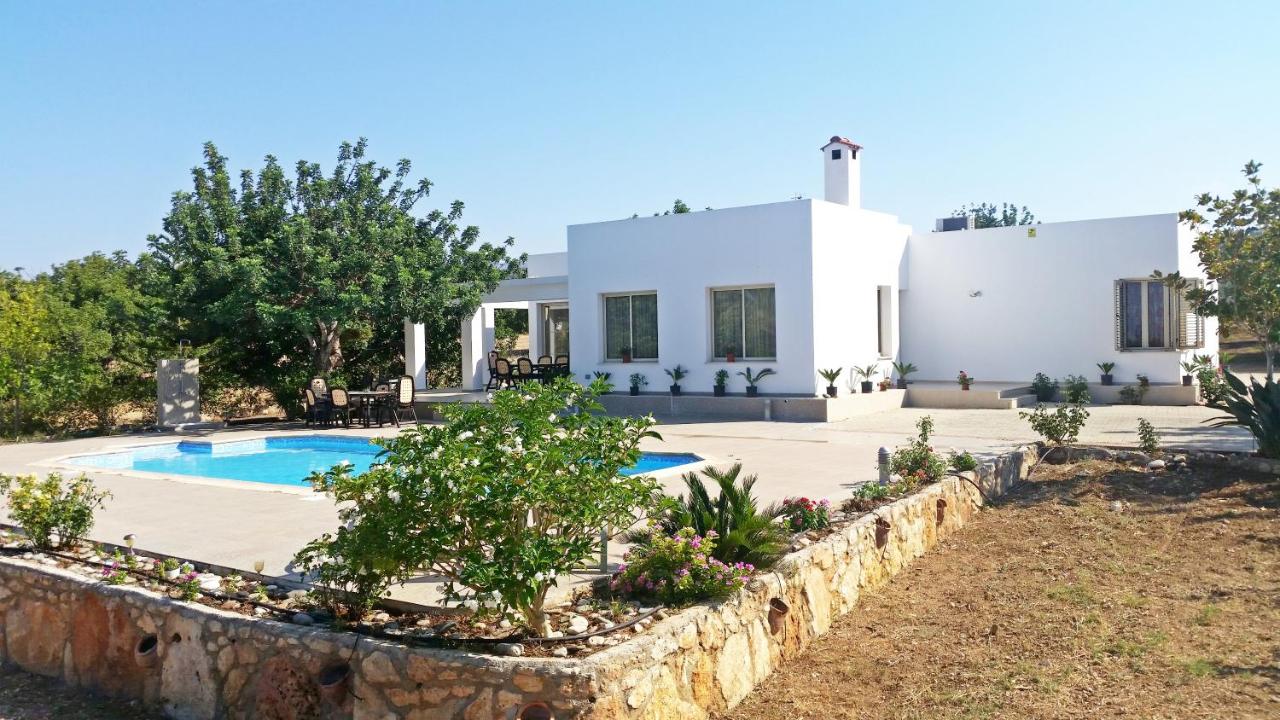 Eliofos Luxury Villa - B&B Pólis