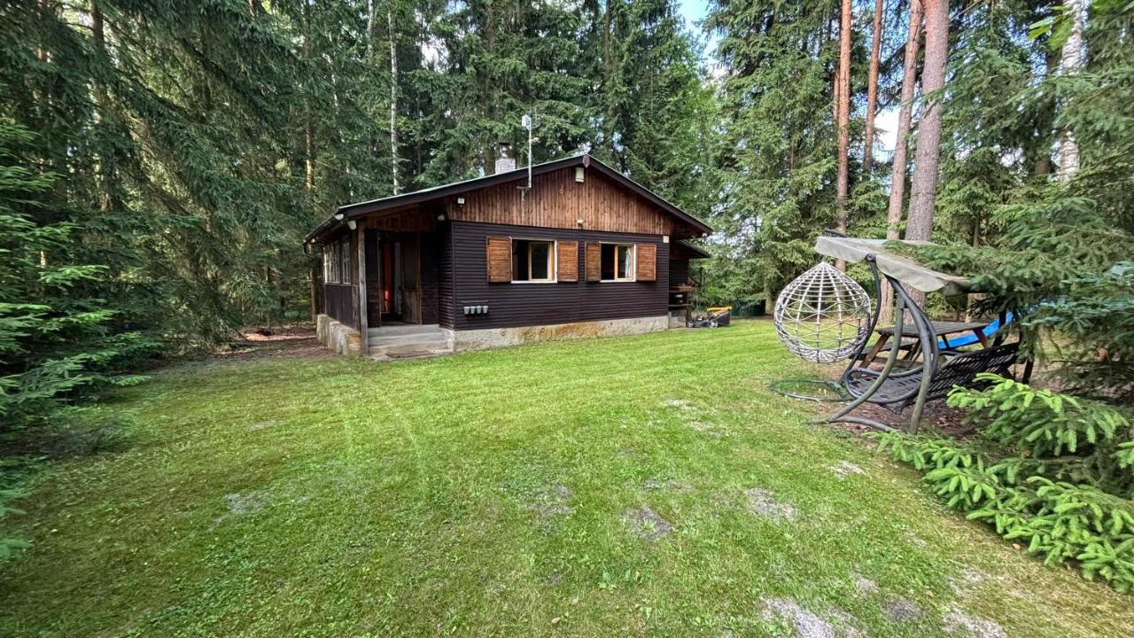 Chata, Máchovo jezero - B&B Doksy