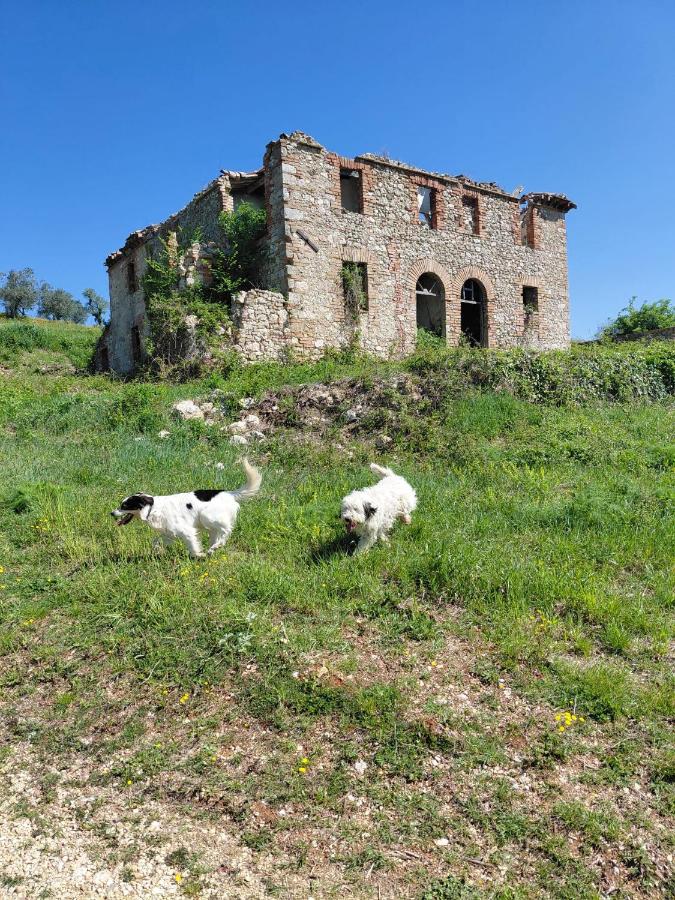 Casa Oliva - Ferienwohnung Sismano