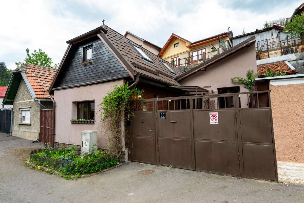 The Bucket - Rose Old Town House with Jacuzzi & Mountain View - Chambres d'hôtes Braşov