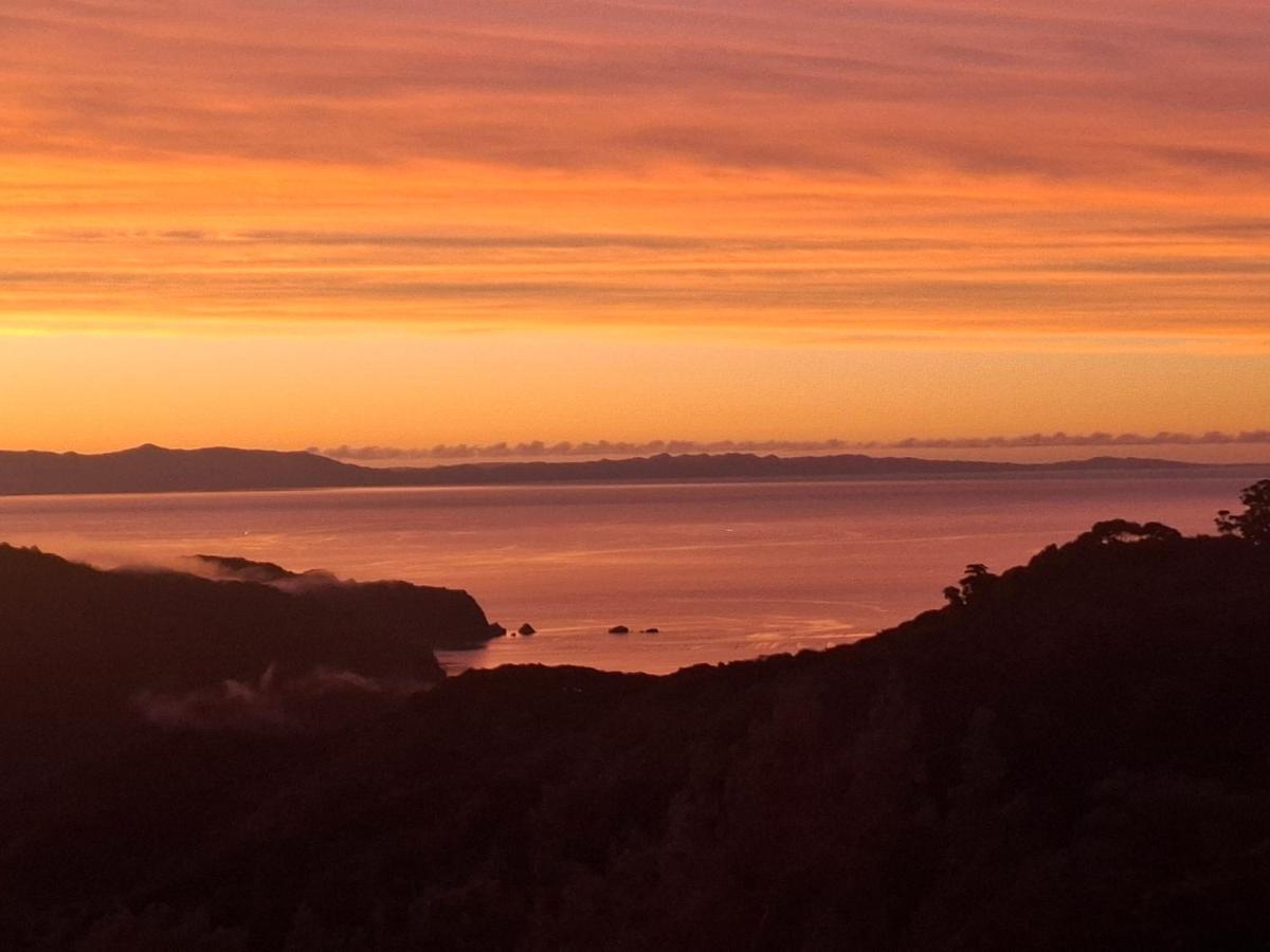 Totaranui Accommodation Chalet One - Bed and Breakfast Totaranui