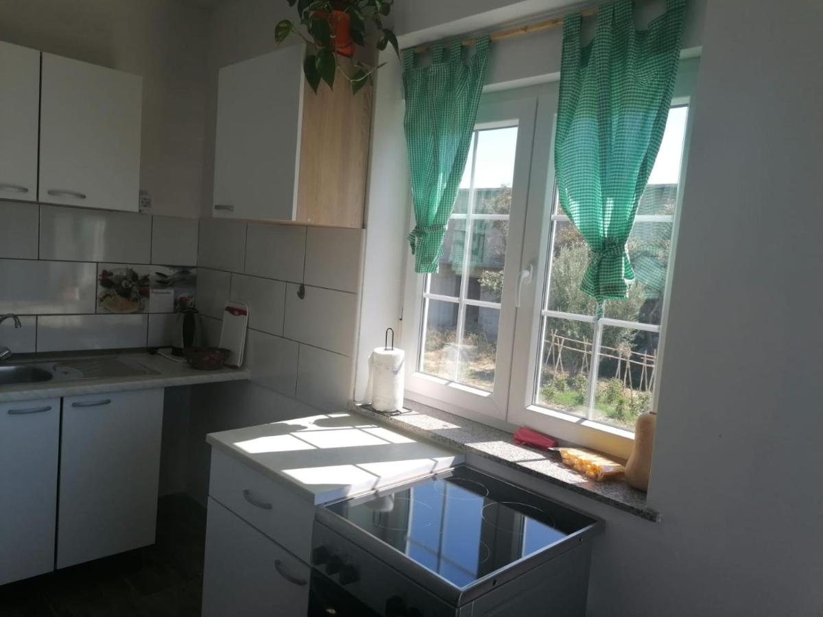 Appartement 1 Chambre