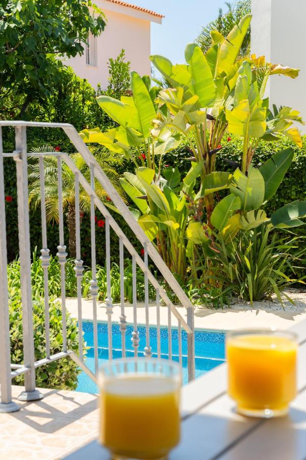 Palm Haven Coral Bay | Private Pool Bungalow - B&B Peyia