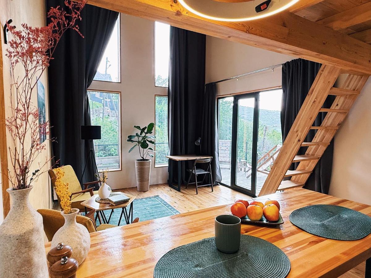 Alexa Mountain Homes - B&B Kokshoky