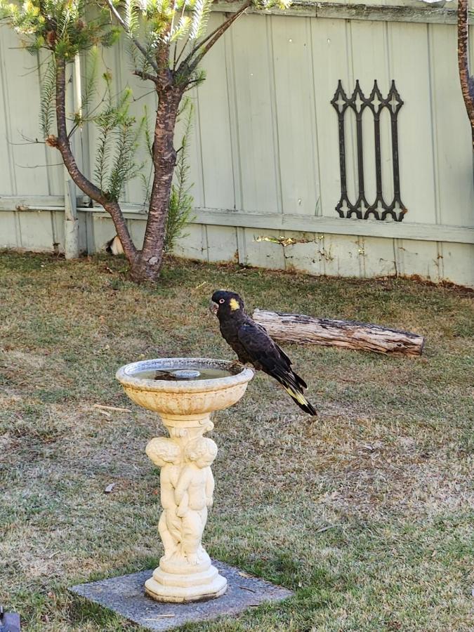 Beach & Forest Stay - B&B Port Arthur