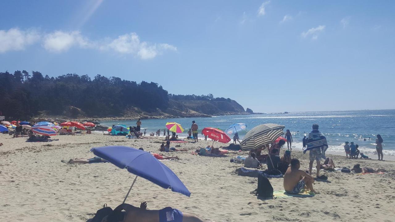 Apartment Cau Cau - B&B Horcón