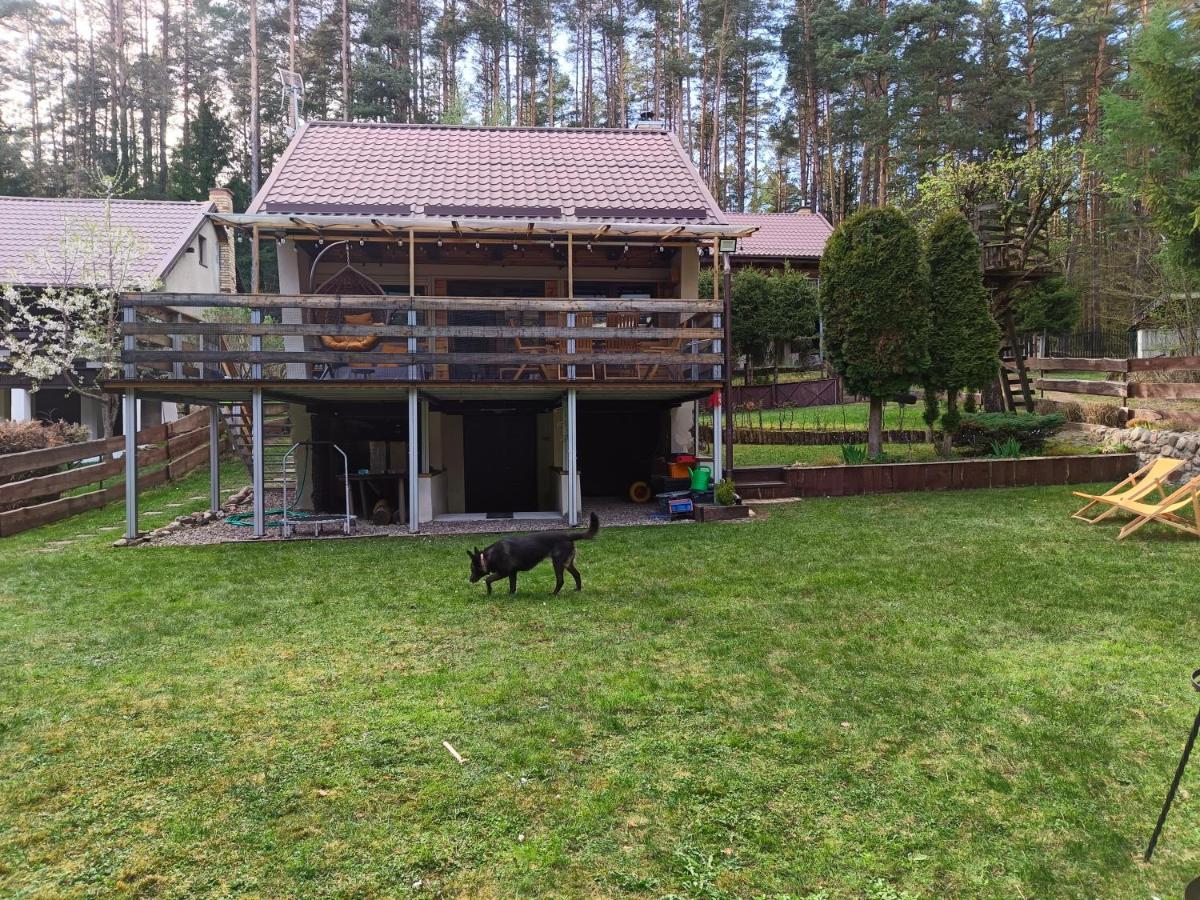 Lawendowy Zakątek - B&B Wilimy