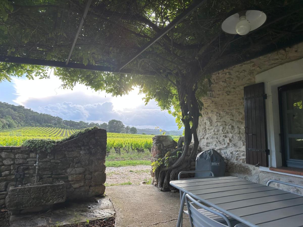 Ecrin au milieu des vignes - Chambres d'hôtes Uchaux