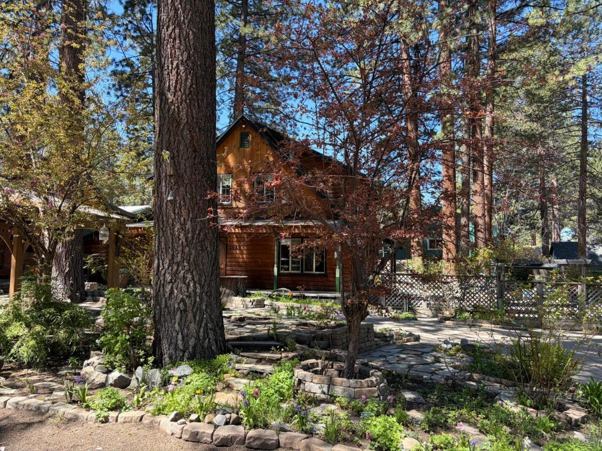 Tahoe Heavenly Hideaway 1060H - B&B South Lake Tahoe